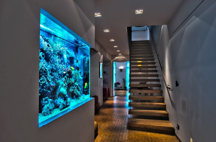 aquarium-dans-couloir-encastré-mur-escalier-droit