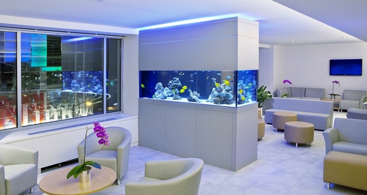 aquarium dans le salon design-moderne-fait-sur-mesure