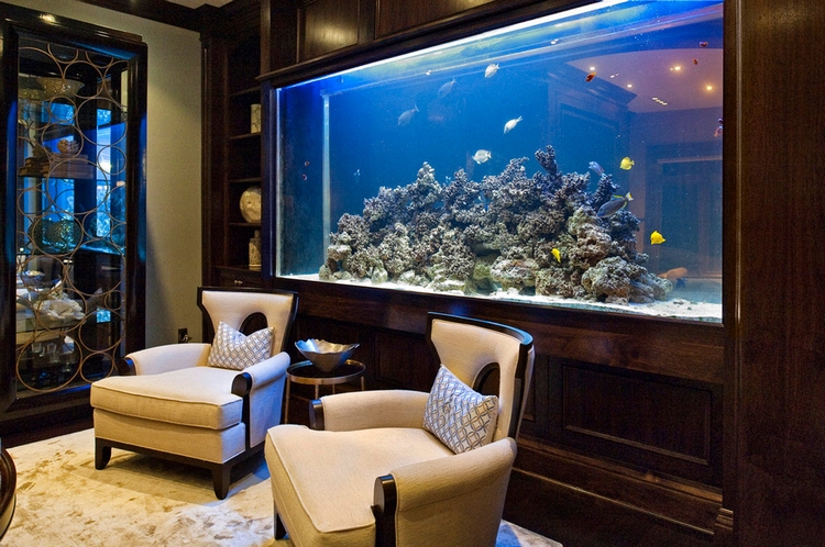 aquarium-dans-salon-super-élégant-récif-corails