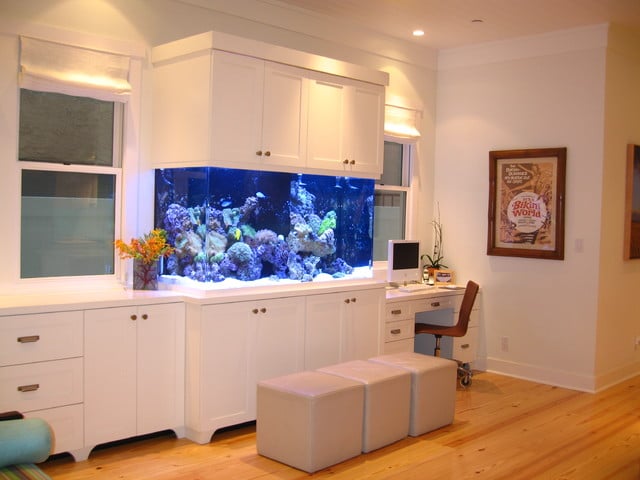 aquarium-intégré-salon-idées-armoire-blanche aquarium dans le salon