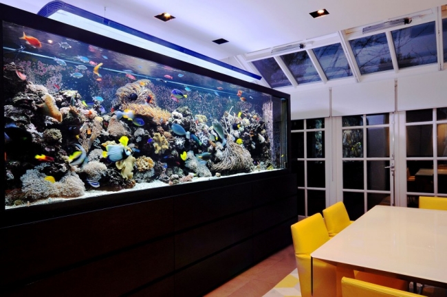 aquarium-intégré-salon-idées-bois-sombre-grand aquarium dans le salon