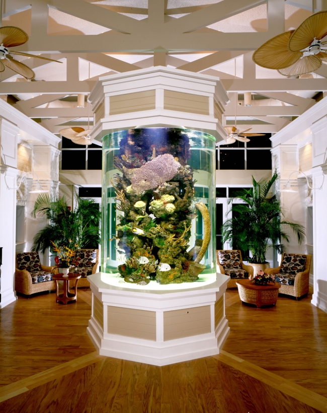 aquarium-intégré-salon-idées-colonne-centrale aquarium dans le salon