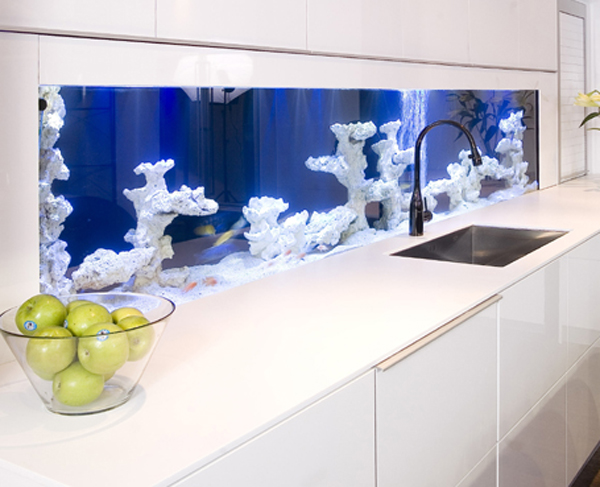 aquarium-intégré-salon-idées-cuisine-bleu-éclairage