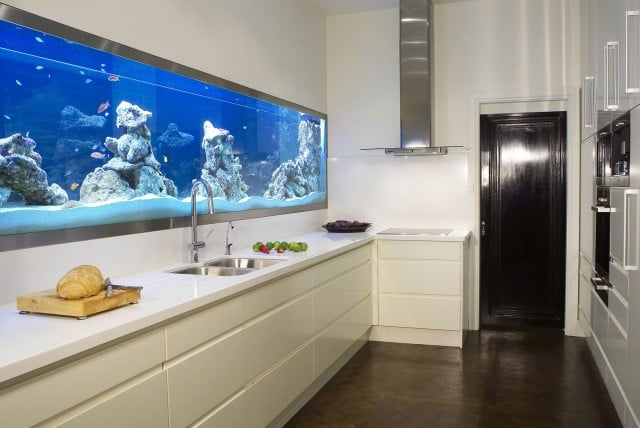 aquarium-intégré-salon-idées-cuisine-lumière-bleue