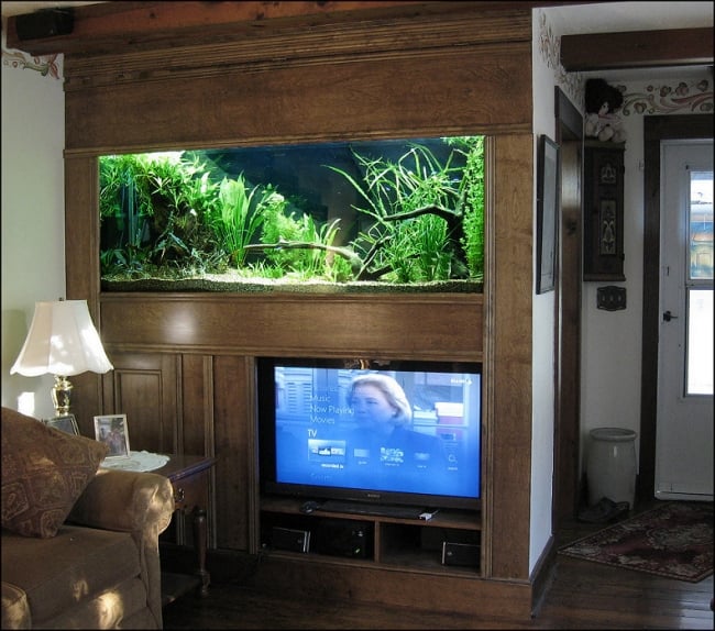 aquarium-intégré-salon-idées-téléviseur aquarium dans le salon