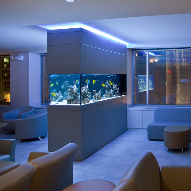 aquarium-intégré-salon-idées-éclairage-led-bleu aquarium dans le salon