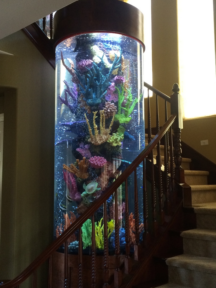 aquarium-sur-mesure-colonne-escalier-tournant