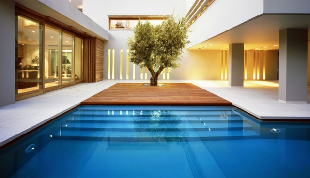 architecture-moderne-piscine-extérieure-encastrée-terrasse-arbre