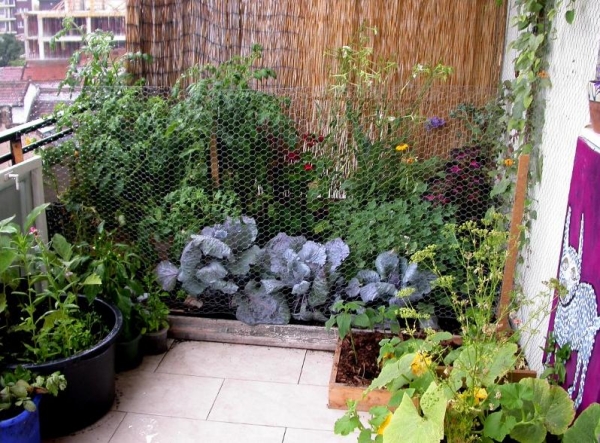 balcon-idées-aménagement-bien-être-meubles-plantes-jardin-improvisé