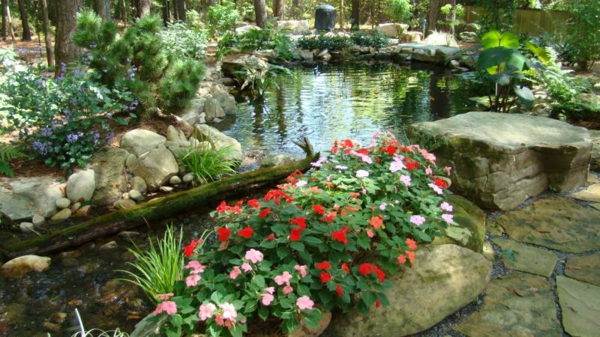 bassin-de-jardin-belles-plantes-pierres