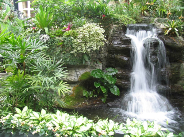 bassin de jardin cascade-végétation-abondante