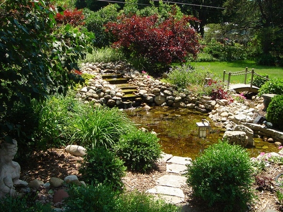 bassin de jardin dalles-pierres-végétation-abondante