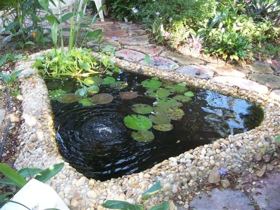 bassin de jardin forme-triangulaire-nénuphars-petits-galets