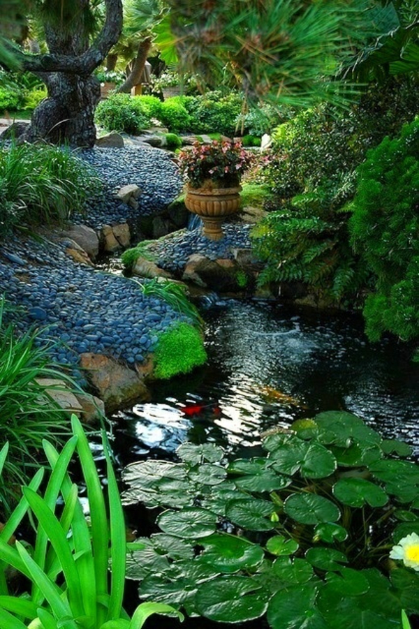 bassin de jardin nénuphar-galets-végétation-abondante