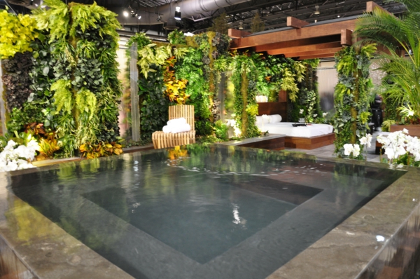 bassin-de-jardin-rectangulaire-plantes-grimpantes