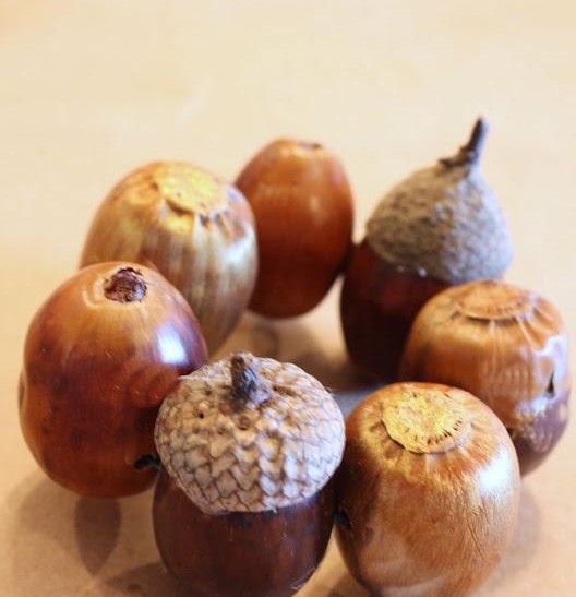 brico-facile-matériaux-naturels-ronds-serviettes-glands