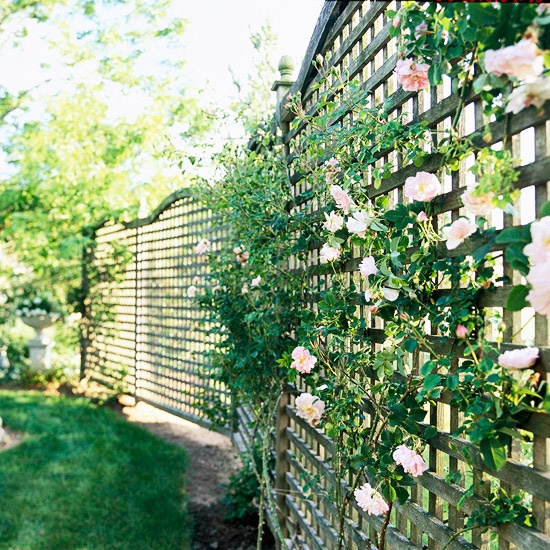 brise-vue-installer-jardin-intimité-treillis-bois-rosiers brise-vue dans le jardin