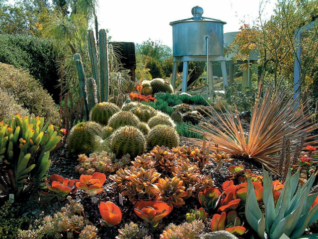 cactus et plantes succulentes jardin-désert-design-moderne