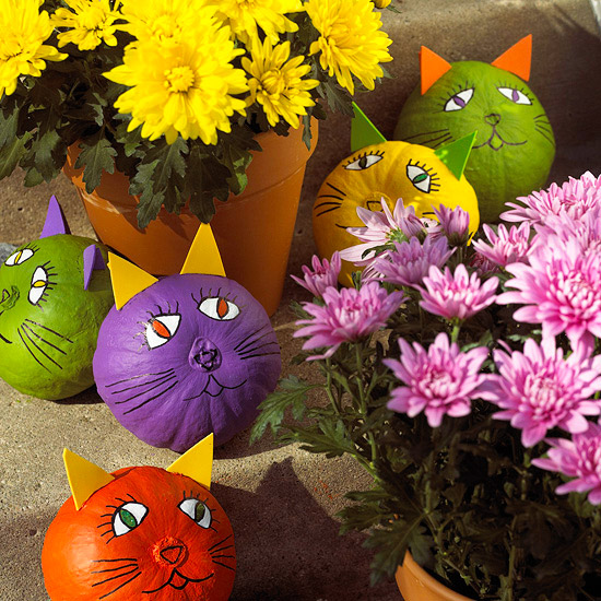 citrouilles-Halloween-décoratives-chats-multicolores
