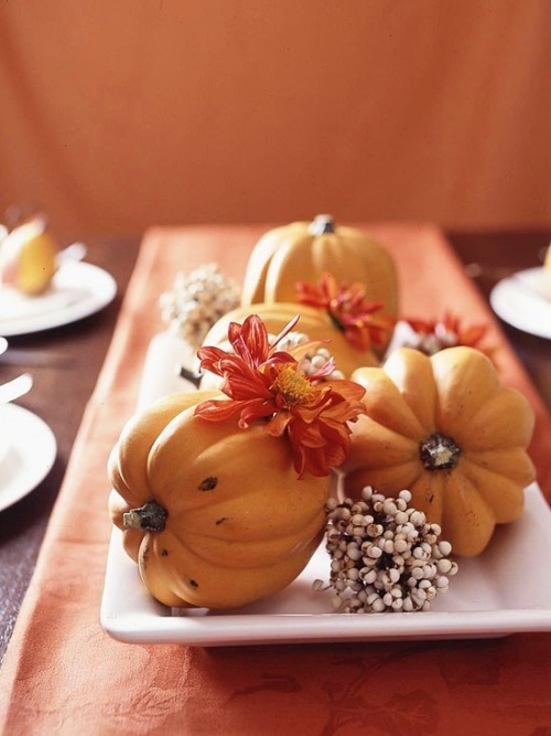 citrouilles-typiques-décoration-automnale-table