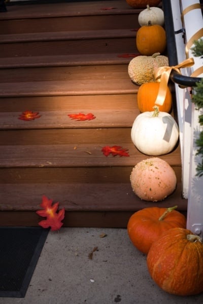 déco-Halloween-automne-escaliers-idées-citrouilles-extérieur