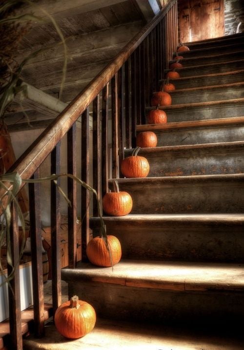 déco-Halloween-automne-escaliers-idées-simple-citrouilles Déco Halloween et d'automne