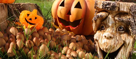 décoration Halloween pas chère citrouille-tronc-aimables