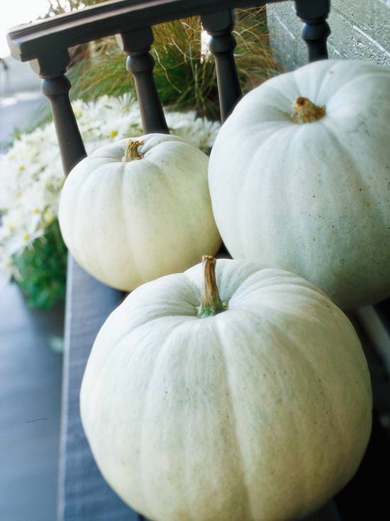 décoration-automne-Halloween-citrouilles-banc-terrasse