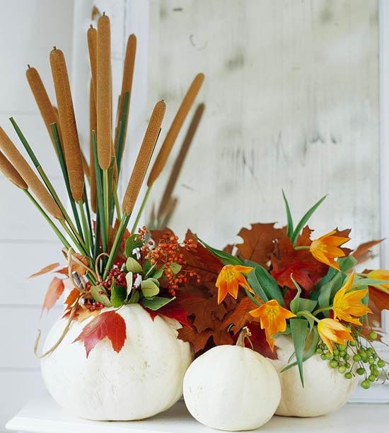décoration-automne-Halloween-citrouilles-feuilles-typha décoration d'automne