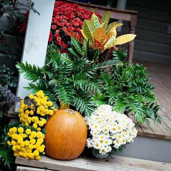 décoration-automne-Halloween-citrouilles-fleurs-plantes-vertes