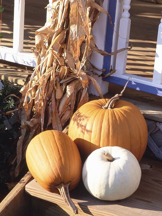 décoration-automne-Halloween-citrouilles-terrasse