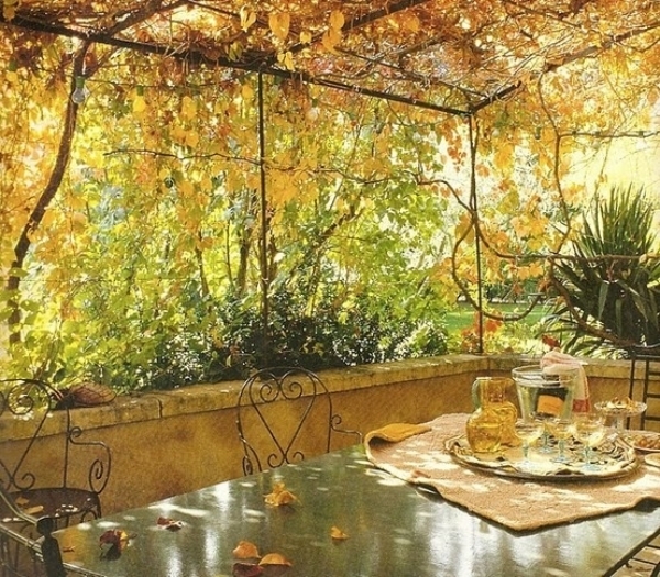 décoration-extérieur-automnale-idées-feuilles-jaunes-vignes