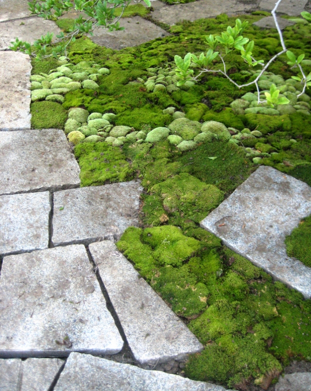 design-contemporain-jardin-dalles-pierre-mousse-verte