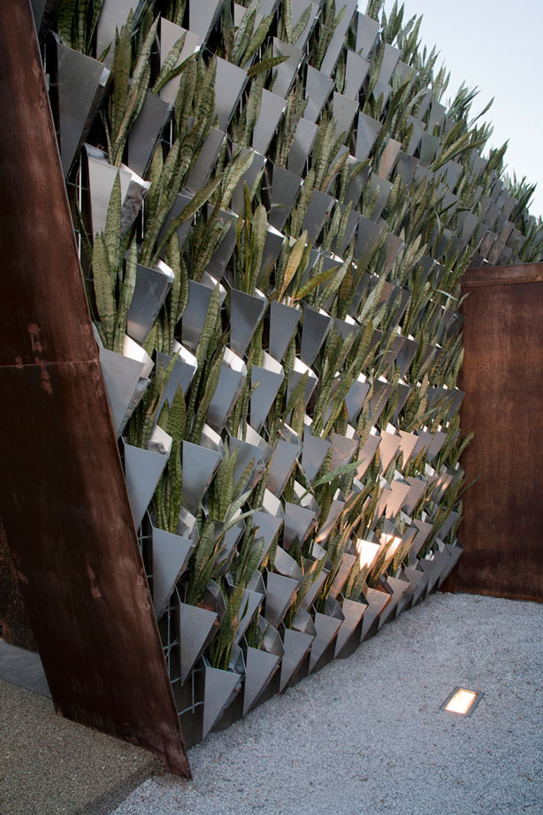 design-contemporain-jardin-vertical-mur-plantes