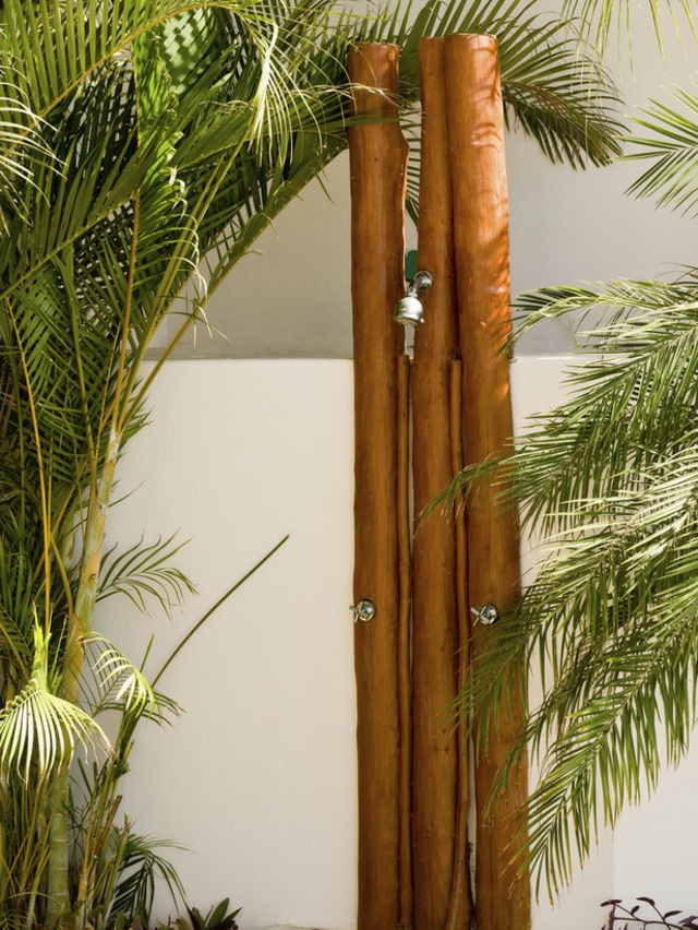 design-douche-jardin-idées-inspirantes-bambou-palmiers