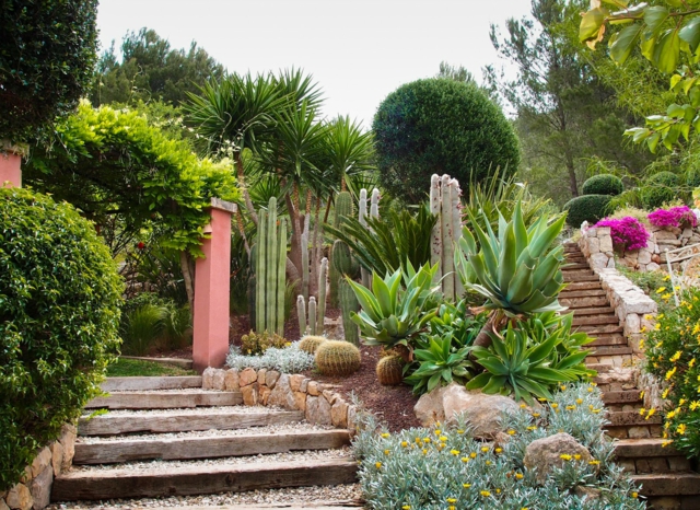 design du jardin moderne cactus-plusieurs-plantes