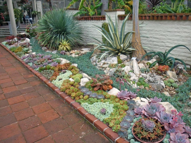 design du jardin moderne plusieurs-plantes-succulentes
