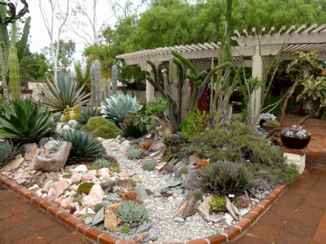 design-jardin-rocaille-moderne-cactus-plantes-succulentes