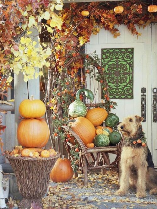 décoration-automnale-porche-idées-pratiques-citrouilles-courbes