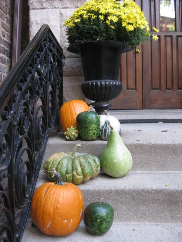 décoration-extérieur-automnale-idées-citrouilles-fleurs-jaunes-escalier