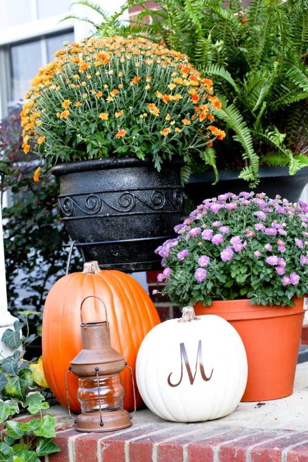 décoration-extérieur-automnale-idées-citrouilles-fleurs-lanterne