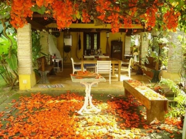 décoration-extérieur-automnale-idées-feuilles-orange