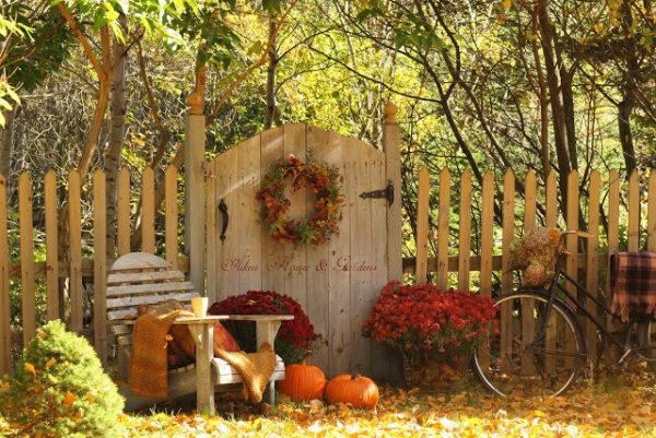 décoration-extérieur-automnale-idées-fleurs-automnales-citrouilles