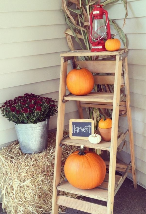 décoration-extérieur-automnale-idées-échelle-bois-citrouilles-maule-foin