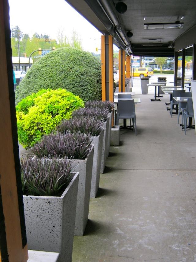 Pots de fleurs, bacs et jardinières \u2013 60 idées élégantes