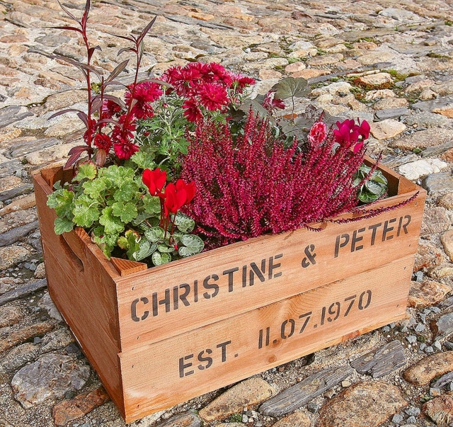 idée-aménagement-jardin-miniature-bois-caisse-vin-plantes