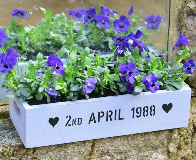 idée-aménagement jardin miniature  violettes