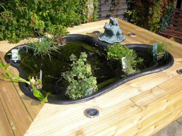 idée-bassin-de-jardin-grenouille-décorative-bec-bois