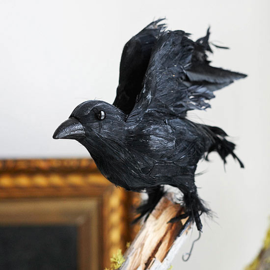 idée-décoration-d'Halloween-corbeau-noir-artificiel