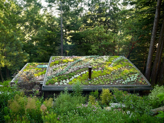 idée-jardin-design-moderne-plantes-succulentes